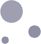 Project and Process Management